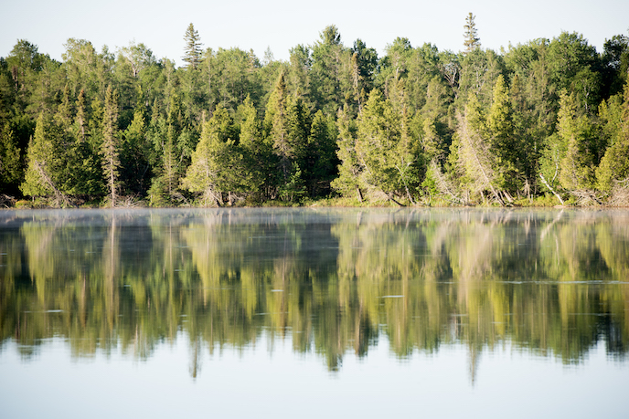 Arbres derrière une rivière